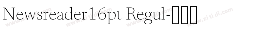 Newsreader16pt Regul字体转换 Newsreader16pt Regul字体转换